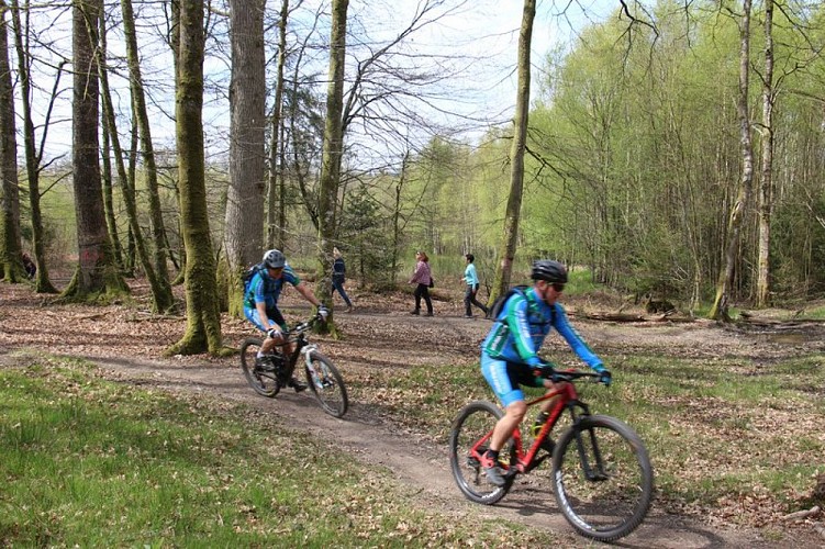 L'étoile du Perche et ses étangs