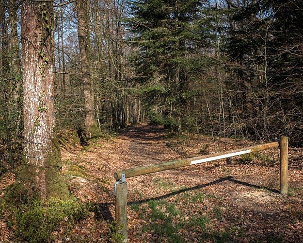 L'étoile du Perche et ses étangs