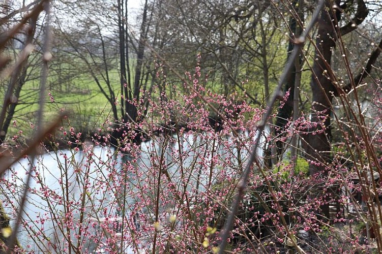 Le sentier de la petite Mauve et de la vallée du Rû