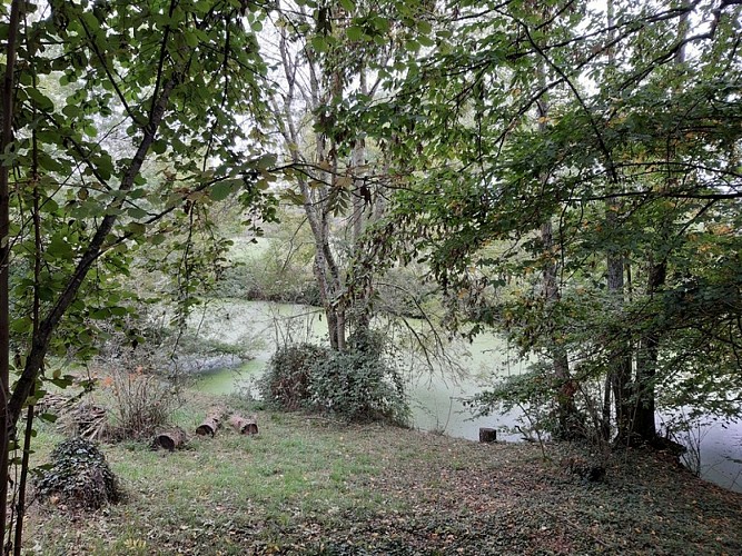Le sentier de la petite Mauve et de la vallée du Rû