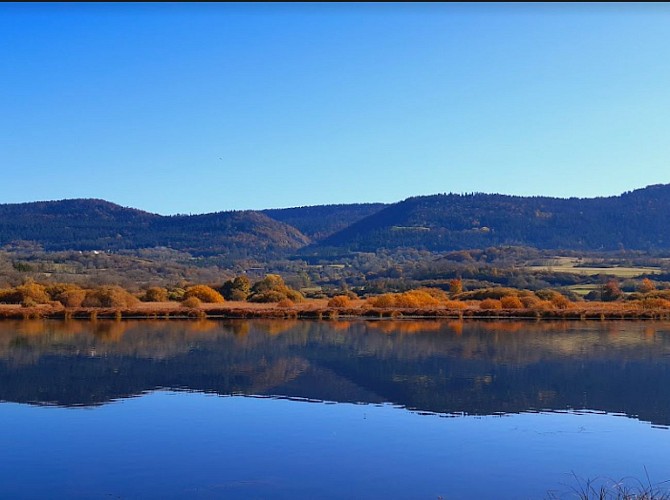 Des Lésines à Planachat