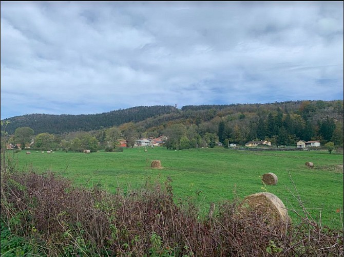 Des Lésines à Planachat