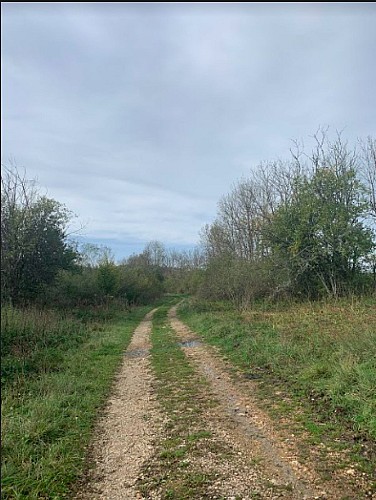 Des Lésines à Planachat