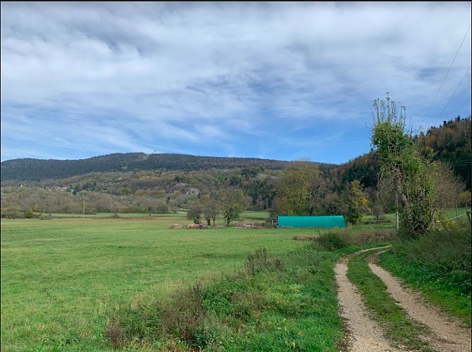 Des Lésines à Planachat