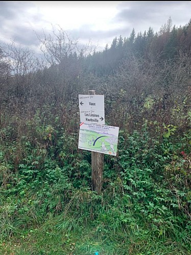 Des Lésines à Planachat