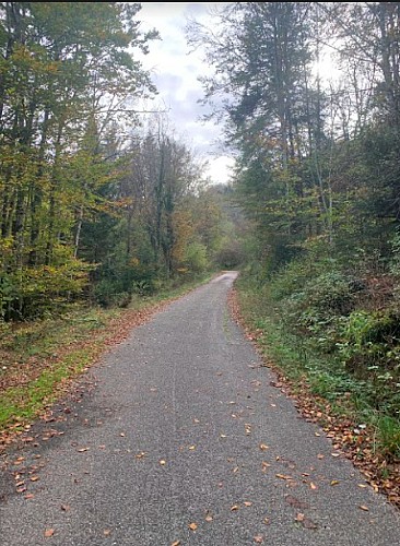 Des Lésines à Planachat