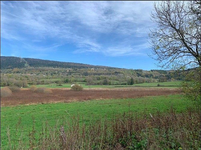 Des Lésines à Planachat