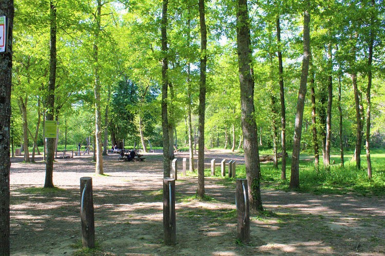 La Ville aux Dames - Circuit en forêt