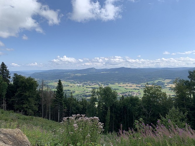 Randonnée - Sur les pentes de l'avocat