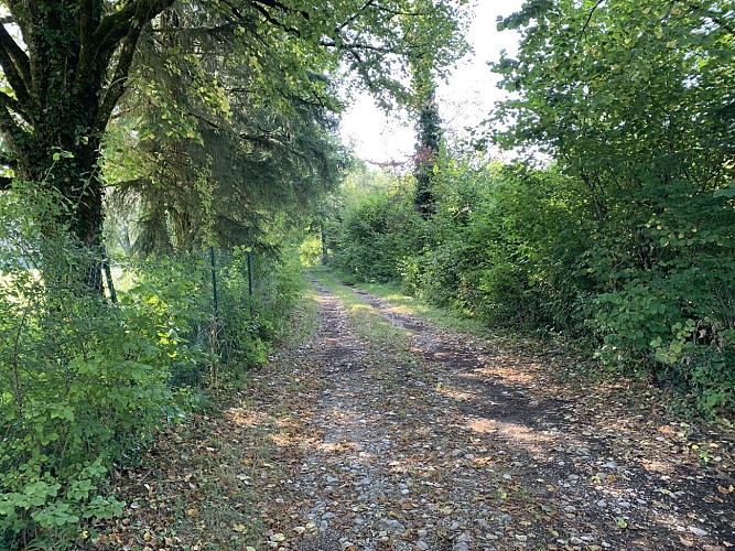 Randonnée - Sur les pentes de l'avocat