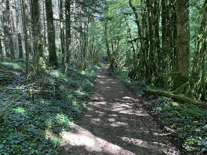 Randonnée - Sur les pentes de l'avocat