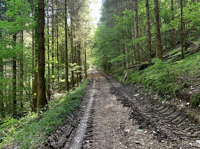 Randonnée - Sur les pentes de l'avocat