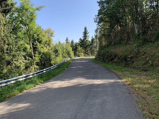 Randonnée - Sur les pentes de l'avocat