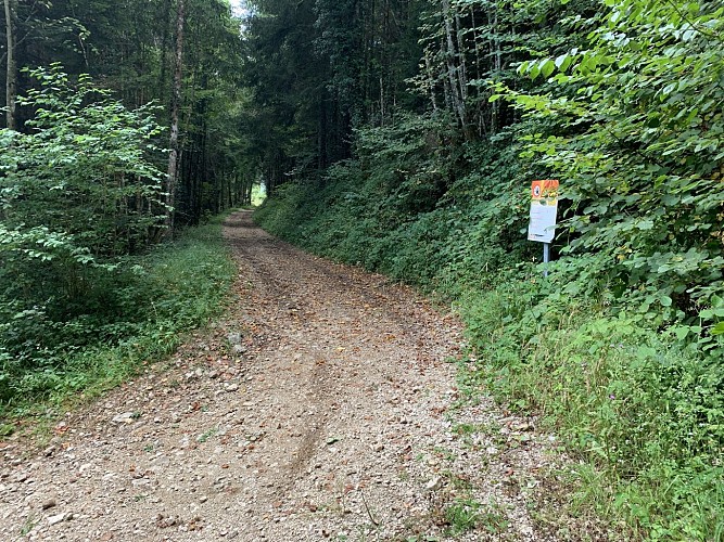 Randonnée - Sur les pentes de l'avocat