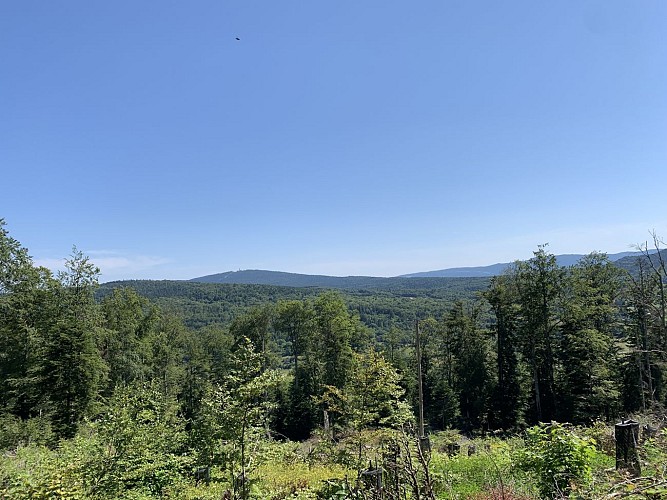 Randonnée - Forêt de la ravière et de Jailloux