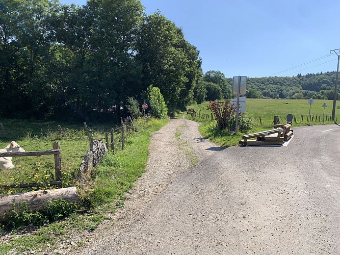 Randonnée - Forêt de la ravière et de Jailloux