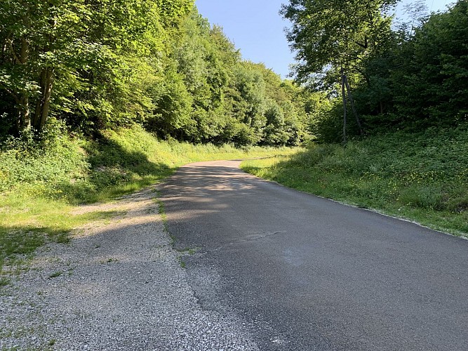 Randonnée - Forêt de la ravière et de Jailloux