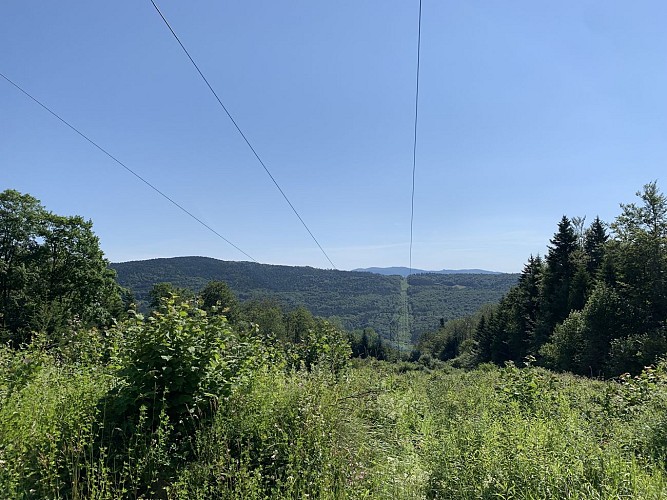 Randonnée - Forêt de la ravière et de Jailloux