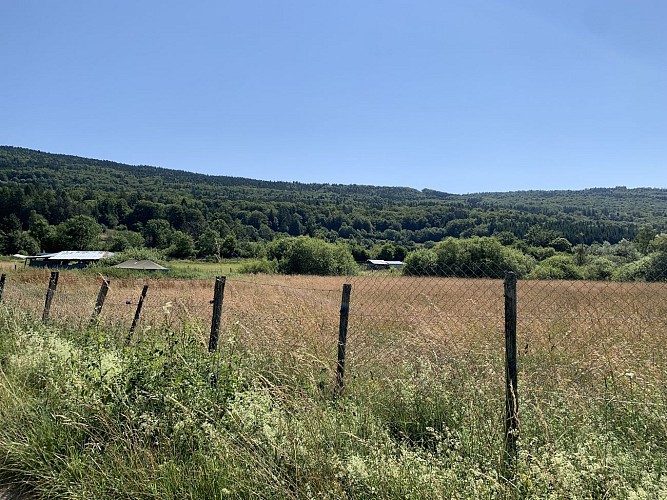 Randonnée - Forêt de la ravière et de Jailloux