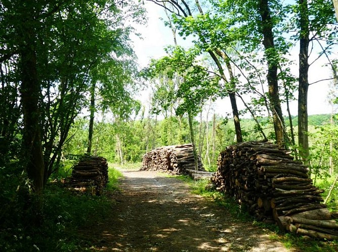 La forge-ostemerée 4