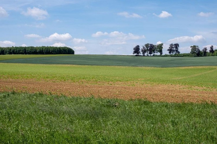 La forge-ostemerée 2