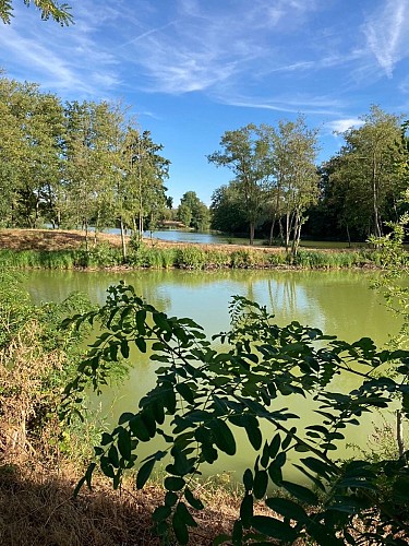 Sentier "l'ile-sous-Essegney"