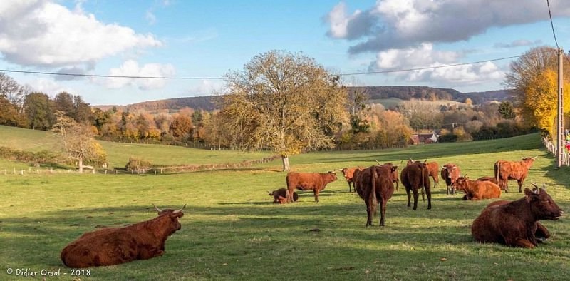 Le Pont de la Bonnechère