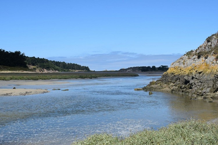 Balade nautique paddle dans la lagune des Sables-d'Or