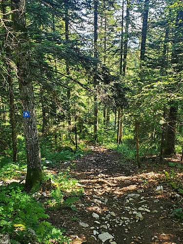 Descente sur la ferme Guichard