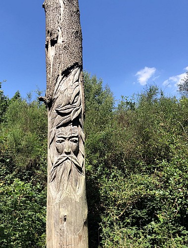 Forêt de Crécy dans la Somme - Val et Oli