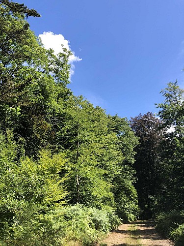 Les 5 continents de l'Arboretum de Tervuren - Val et Oli