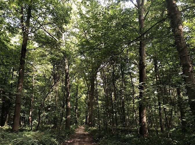 Les 5 continents de l'Arboretum de Tervuren - Val et Oli