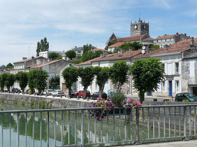 Saint-Savinien : le long du Charenton