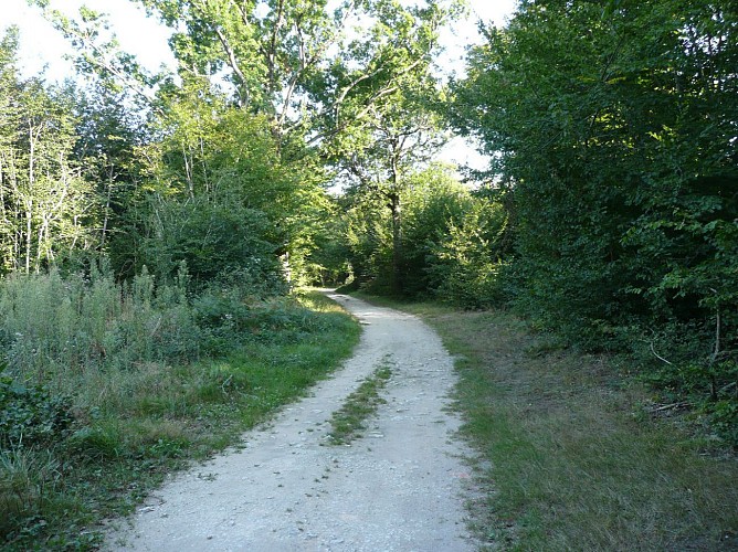 Sablonceaux : le chemin des prêtres