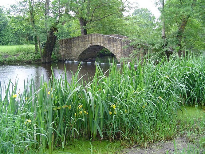 Randonnée "Boires et coteaux"