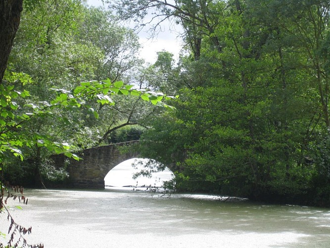 Randonnée "Boires et coteaux"