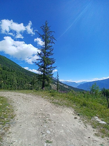 Le Méale (boucle gravel N°57 bleu)