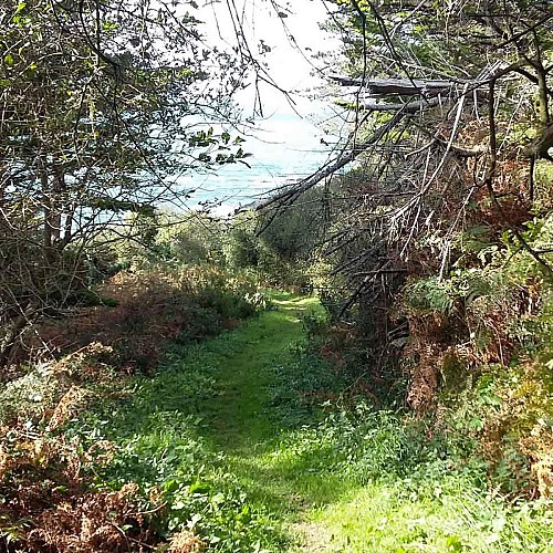 Beg Ar Forn - Kersalic Bihan | Falaises Trédrez-Locquemeau