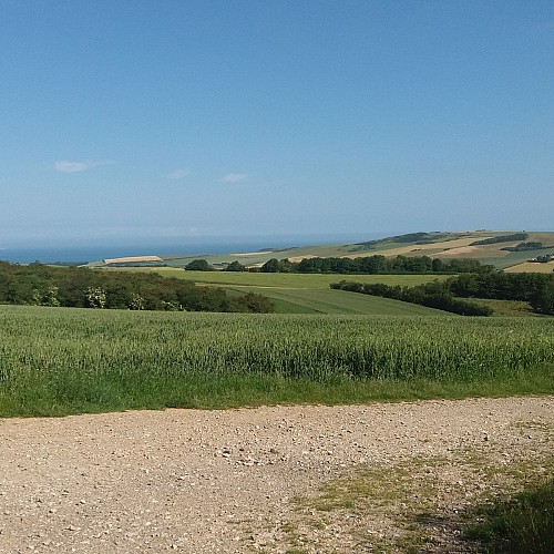 Sentier du Mont de la Louve