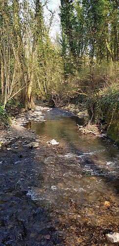 Les chemins discrets d'Ivoz-Ramet et le ruisseau de Villencourt