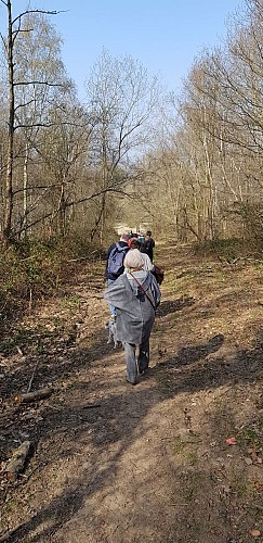 Les chemins discrets d'Ivoz-Ramet et le ruisseau de Villencourt