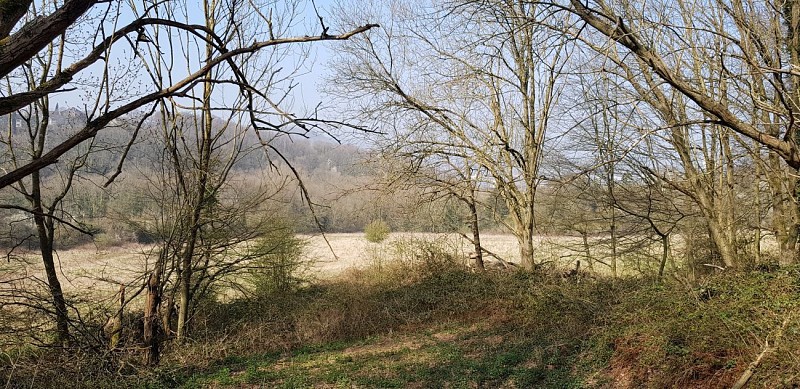 Les chemins discrets d'Ivoz-Ramet et le ruisseau de Villencourt