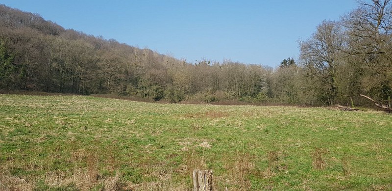 Les chemins discrets d'Ivoz-Ramet et le ruisseau de Villencourt