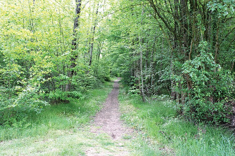 Réserve de la Basse Goulandière