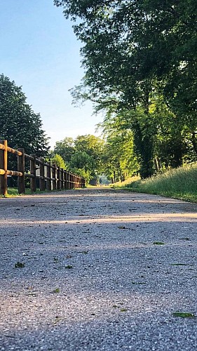 C9D4C23B-2134-4D9F-8F4A-7313124EC30B