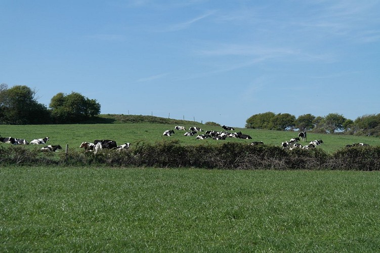 Sentier du Mont Duez