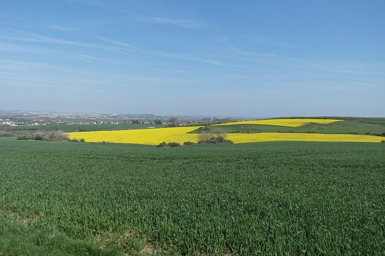 Sentier du Mont Duez