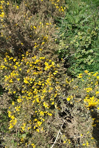 Sentier du Mont Duez