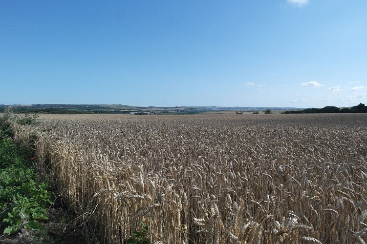 Sentier du Mont Duez