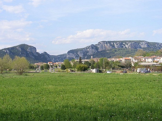 Banks of the Hérault